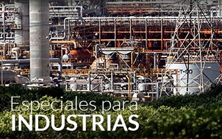 basculas de plataforma o bajo nivel