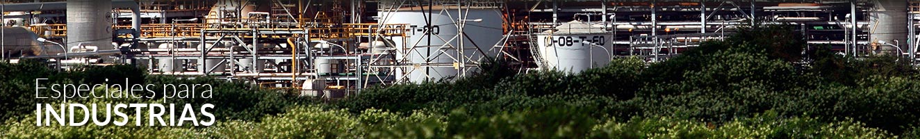 basculas de plataforma o bajo nivel