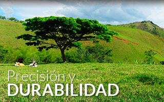 Basculas ganaderas