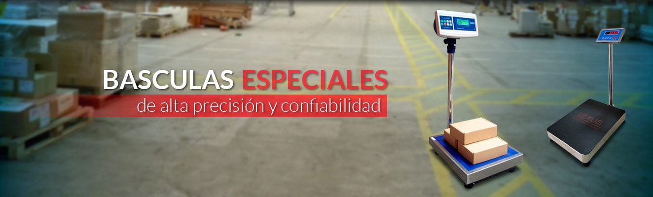 DLP BASCULAS INGENIERIA